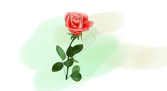 单支玫瑰素材手绘玫瑰插画