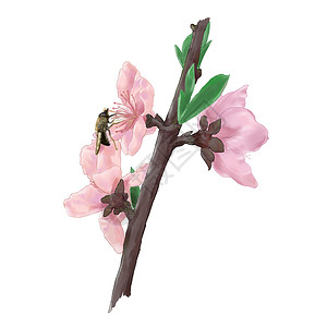 芽花蜜桃花枝上的蜜蜂插画