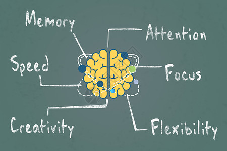 灵活性大脑分区素材插画