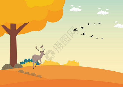 天空飞鸟素材秋天凝望的小鹿设计图片