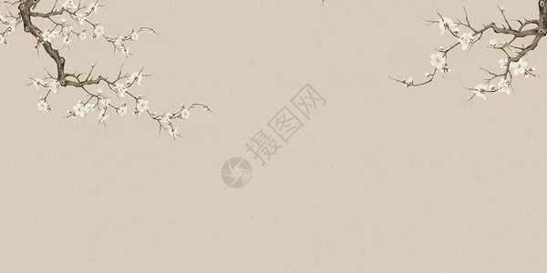 中国风花朵树枝素色桃花背景设计图片