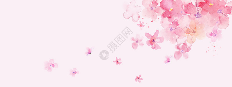 水彩兰花粉色花瓣背景设计图片