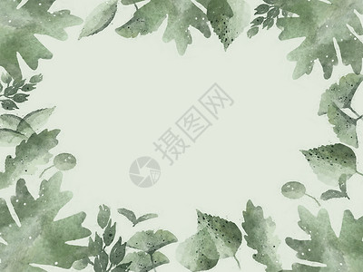 水墨方框小清新绿色植物背景图插画