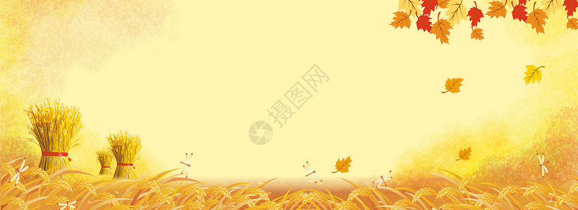 杏花落叶秋天背景设计图片