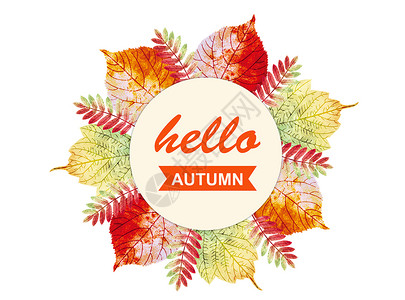 彩色标签贴手绘秋季枫叶装饰标签插画
