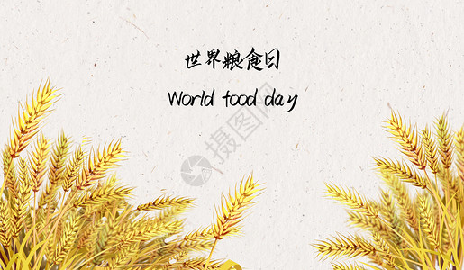 矢量食品世界粮食日图片下载设计图片