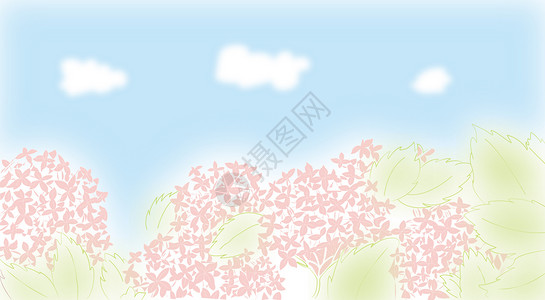 白兰绣球花风景背景设计图片