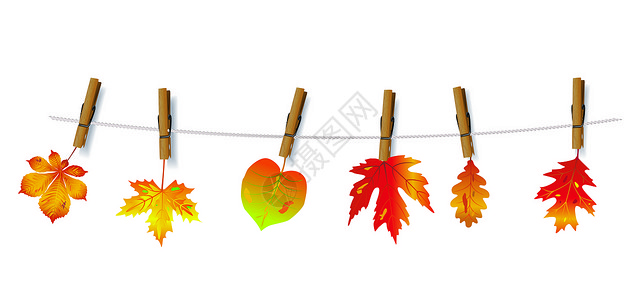 飘落树叶绳子上晾晒的枫叶设计图片