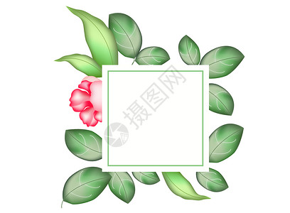 花朵图案边框手绘树叶装饰边框插画