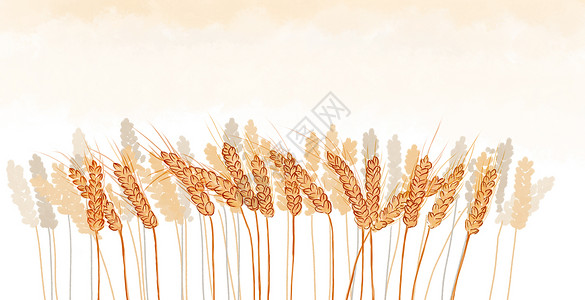 手绘水彩秋收麦穗背景图片