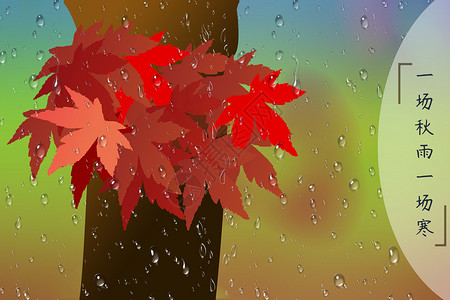 一场雨秋雨中的枫叶树特写背景插画