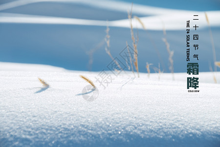 霜降海报挂霜的植物高清图片