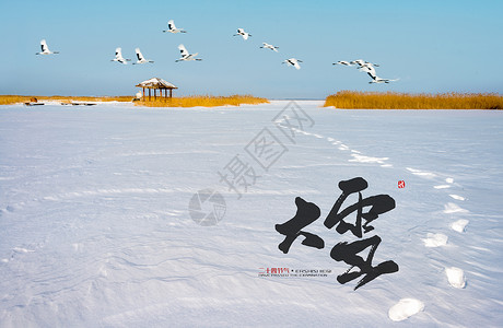 平原城市大雪2017年节气设计图片