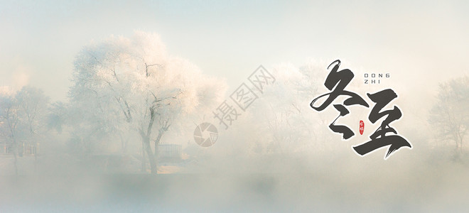 冬天树雪雾冬季设计图片