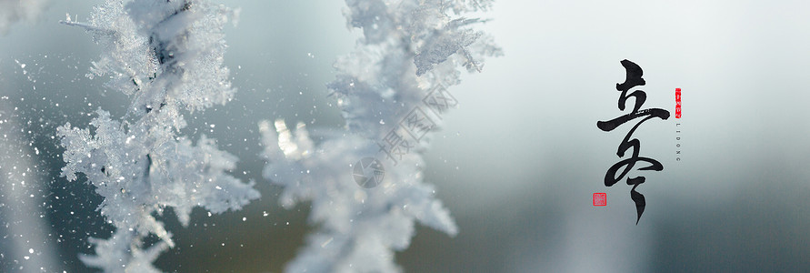 白雪树枝立冬风景设计图片