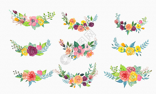 花卉装饰干花手绘水彩花卉装饰插画