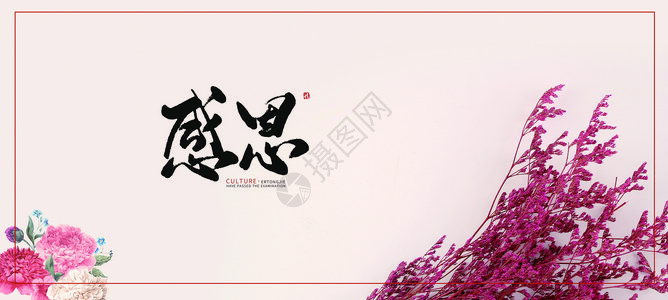 云南干花感恩节唯美粉色背景设计图片