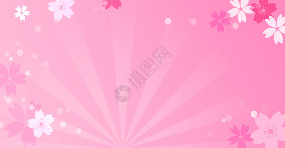 放射线背景唯美浪漫粉色樱花背景设计图片