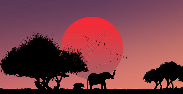 斯里兰卡大象夕阳下的大自然插画