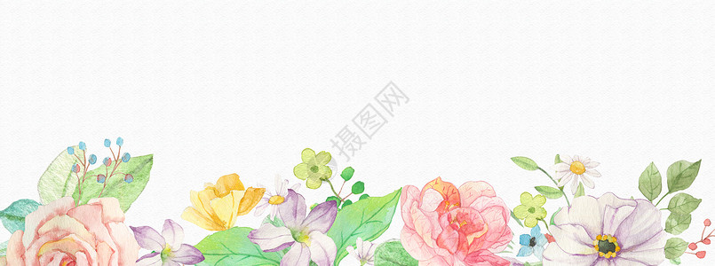 花卉水彩背景素材高清图片