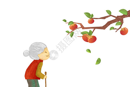 ps拐杖素材奶奶的柿子树插画
