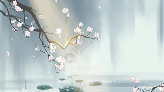 中国风手绘玉兰花插画图片