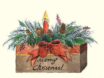 圣诞节绿色植物圣诞盒子圣诞节气氛插画