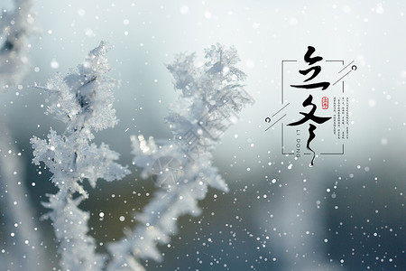 白屏背景素材立冬节气设计图片