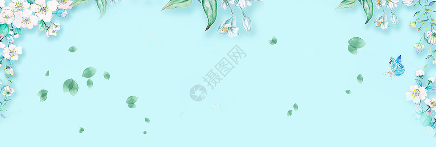 白色花丛蓝色花丛背景设计图片