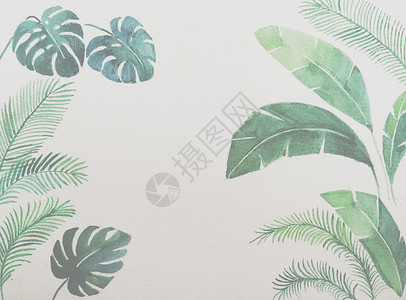 绿色植物桌面手绘植物背景素材插画