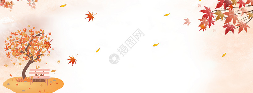 枫树绶带鸟秋天背景设计图片