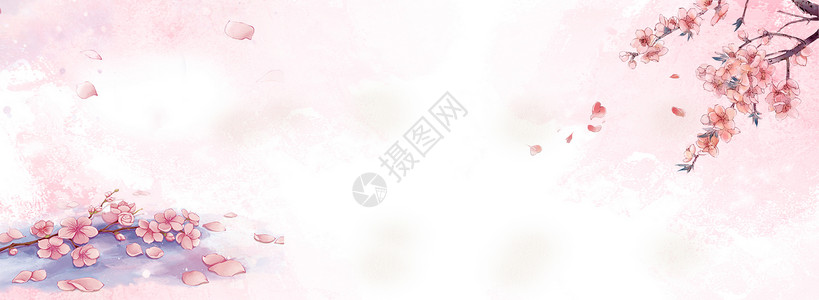 粉色桃花飘花背景设计图片