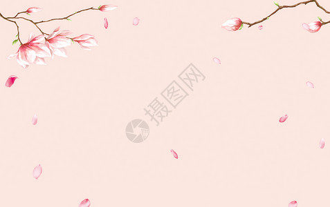 粉色桃花与树枝文艺背景素材设计图片