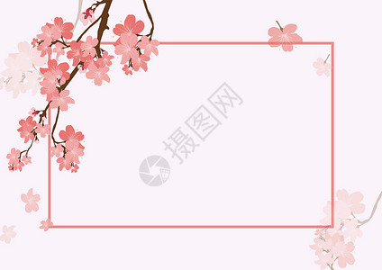 美丽的樱花樱花唯美背景设计图片