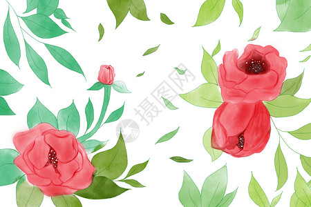 绿叶枝条手绘植物花朵背景设计图片