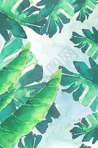 水彩热带背景图水彩植物设计图片