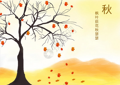 枫树秋日插画背景图片