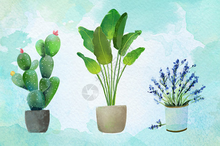 水彩植物盆栽绿色小清新植物插画