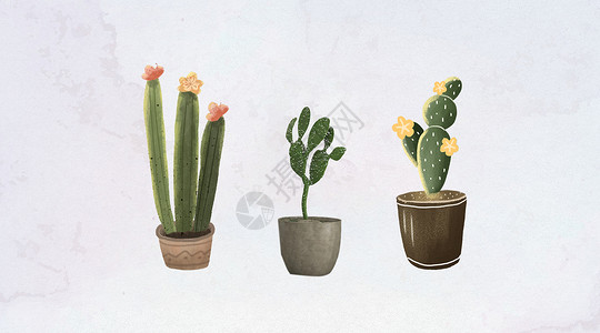 手绘植物仙人掌水彩植物盆景设计图片
