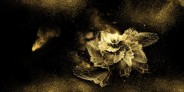 黄色花朵树藤黑金大气金花背景设计图片