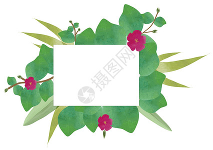 水彩花图案手绘水彩绿色叶子装饰框插画