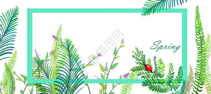 中医框绿色植物手绘背景插画