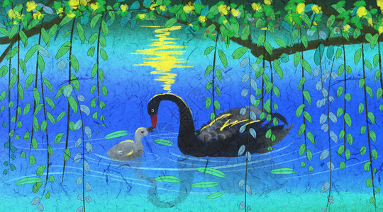 湖里的黑天鹅天鹅母子插画