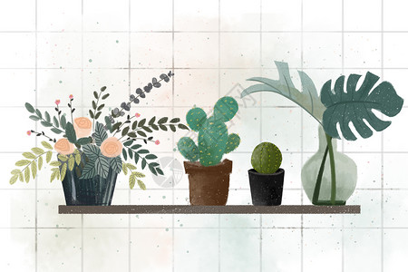 室内瓷砖植物插画