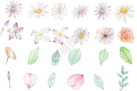 手绘花朵树叶素材图片
