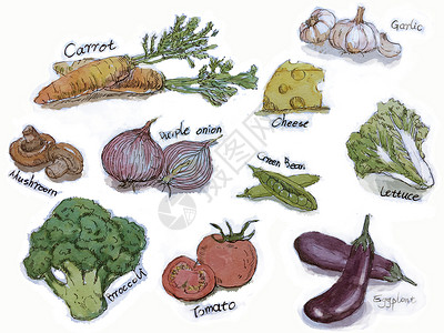 蒜茄子蔬菜水果手绘素材插画