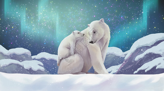 雪地星空北极熊母子插画