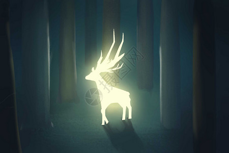 森林里的鹿插画背景图片