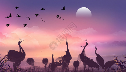 矢量日出晚霞中的丹顶鹤设计图片