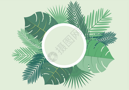 绿色矢量树叶热带树叶设计图片